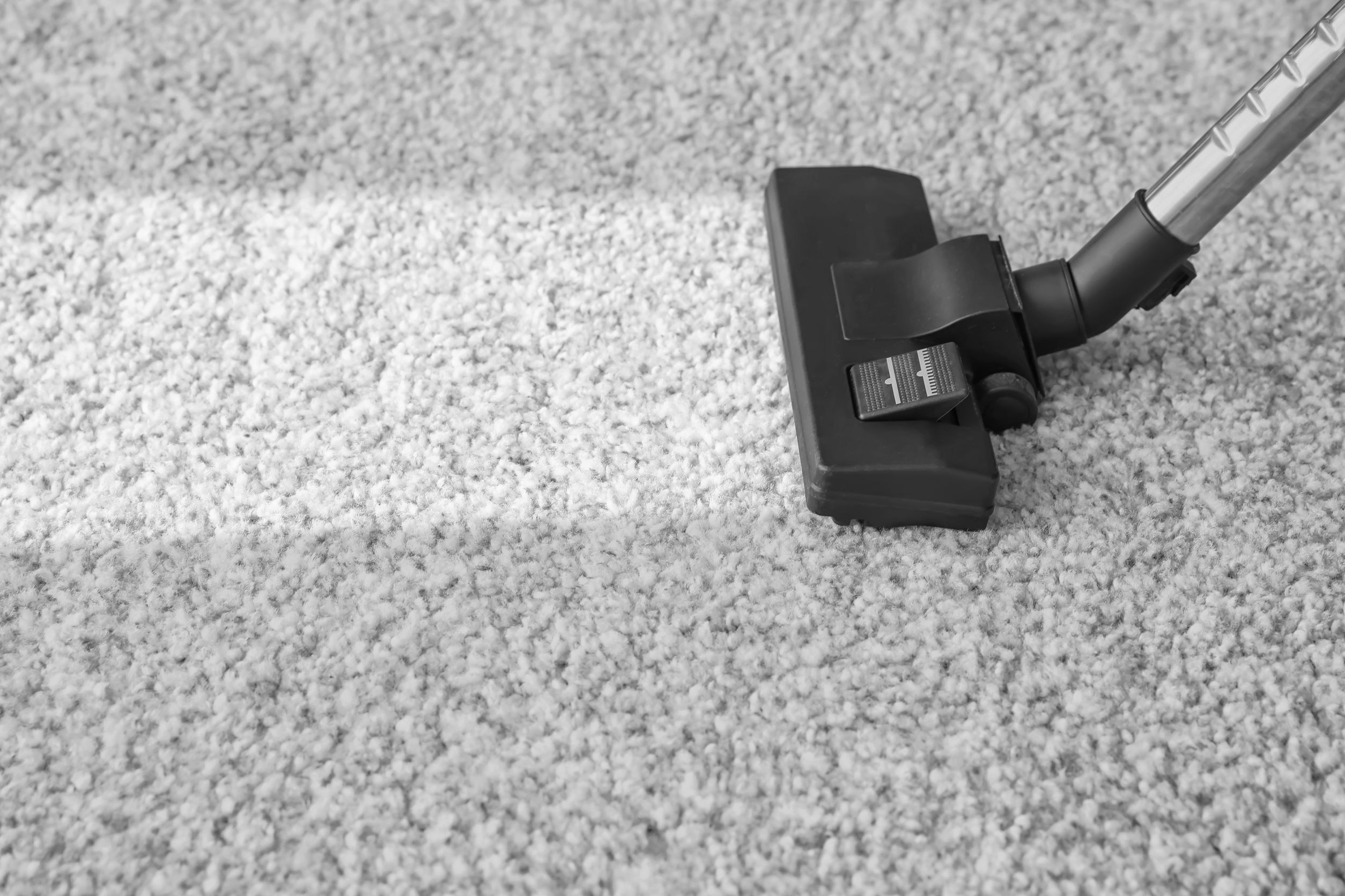 Rug Cleaning Colorado Springs CO