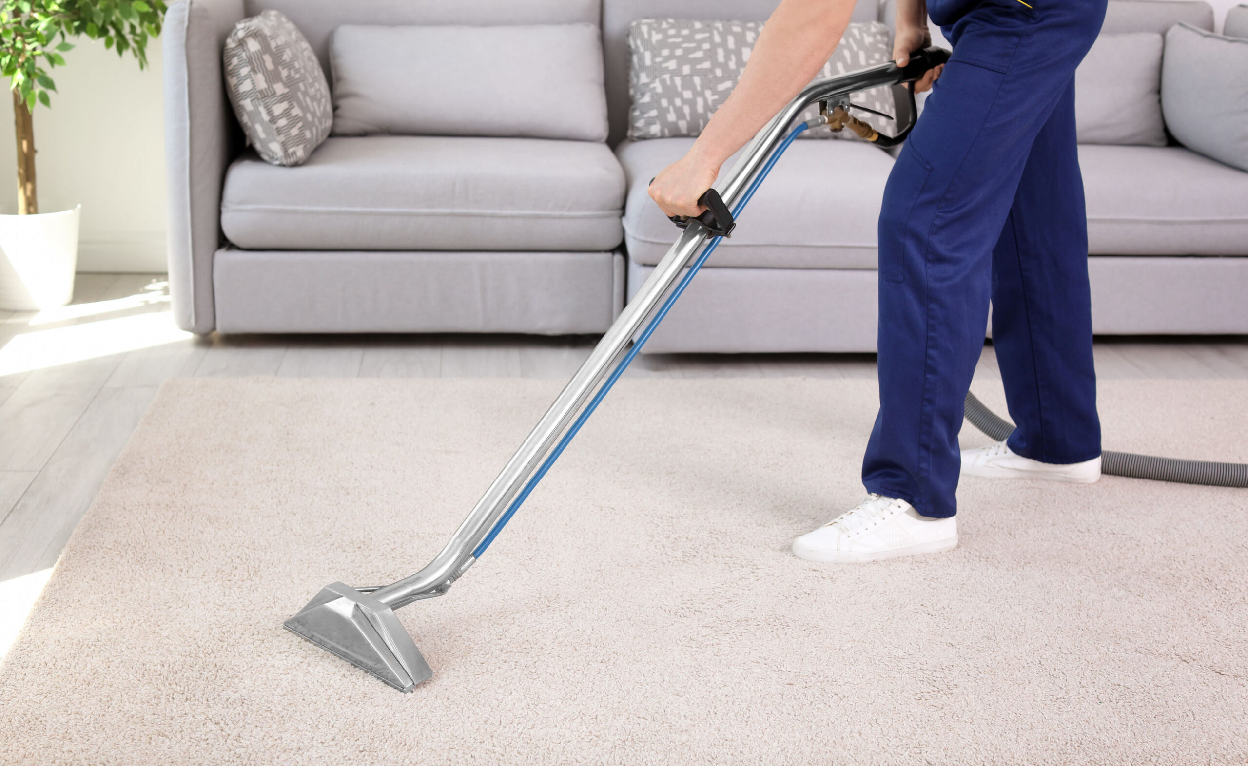 Rug Cleaning Colorado Springs CO